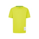 Koszulka t-shirt męska Logo Lime Aston Martin F1 2025