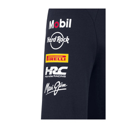 Bluza męska z kapturem Pullover Team Red Bull Racing 2025